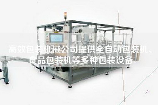 高效包裝機械公司提供全自動包裝機、食品包裝機等多種包裝設備