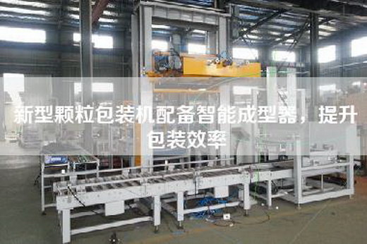 新型顆粒包裝機配備智能成型器，提升包裝效率