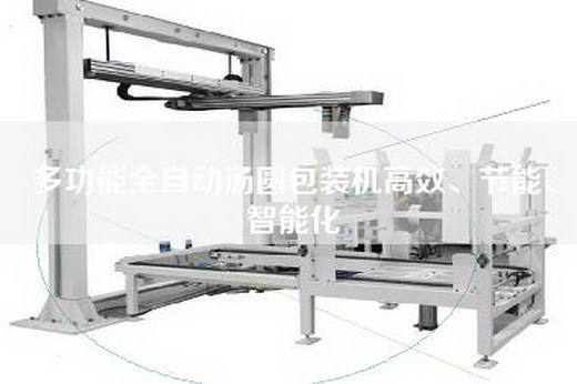 多功能全自動湯圓包裝機高效、節能、智能化