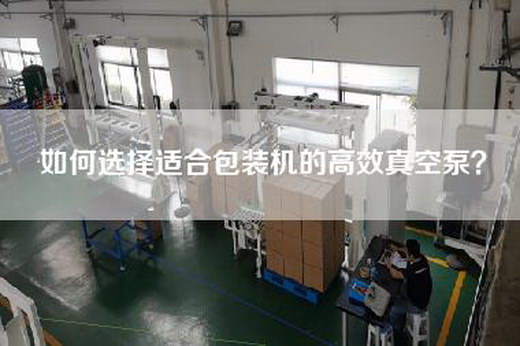 如何選擇適合包裝機的高效真空泵？