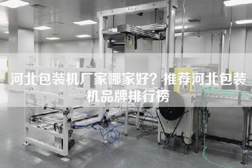 河北包裝機廠家哪家好?推薦河北包裝機品牌排行榜