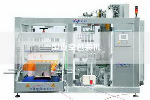 型真空包裝機(jī)