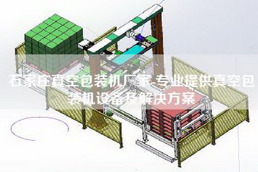 石家莊真空包裝機廠家-專業提供真空包裝機設備及解決方案