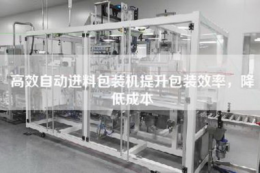 高效自動進料包裝機提升包裝效率,降低成本 高效自動進料包裝機提升包裝效率,降低成本