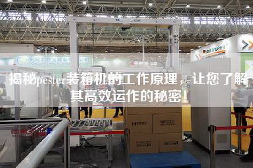 揭秘pester裝箱機(jī)的工作原理,讓您了解其高效運(yùn)作的秘密! 揭秘pester裝箱機(jī)的工作原理,讓您了解其高效運(yùn)作的秘密!