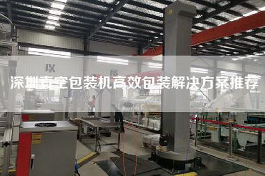 深圳真空包裝機高效包裝解決方案推薦