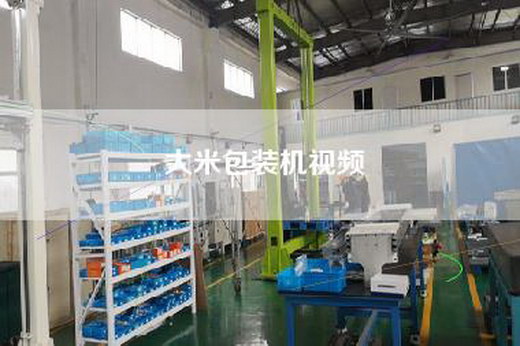 大米包裝機視頻