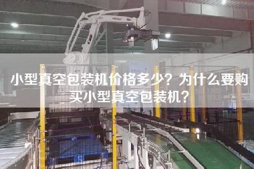 小型真空包裝機價格多少?為什么要購買小型真空包裝機? 小型真空包裝機價格多少?為什么要購買小型真空包裝機?