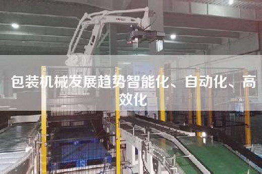 包裝機械發展趨勢智能化、自動化、高效化