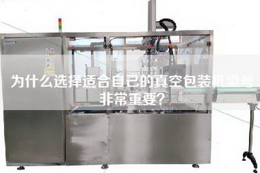 為什么選擇適合自己的真空包裝機型號非常重要？