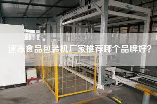 速凍食品包裝機(jī)廠家推薦哪個(gè)品牌好？