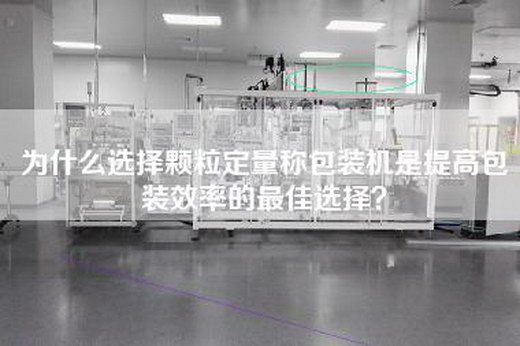 為什么選擇顆粒定量稱包裝機是提高包裝效率的最佳選擇？