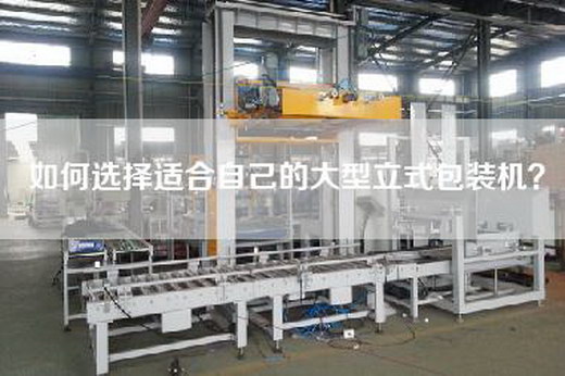 如何選擇適合自己的大型立式包裝機(jī)？