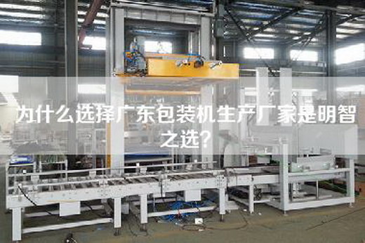 為什么選擇廣東包裝機生產廠家是明智之選？