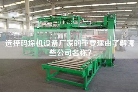 選擇碼垛機設備廠家的重要理由了解哪些公司名稱？