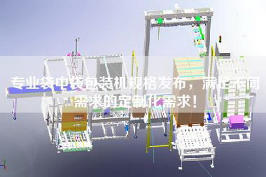 專業(yè)袋中袋包裝機規(guī)格發(fā)布,滿足不同需求的定制化需求!