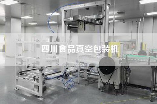 四川食品真空包裝機