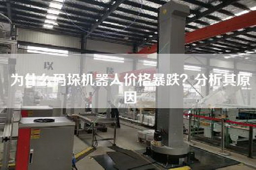 為什么碼垛機器人價格暴跌?分析其原因 為什么碼垛機器人價格暴跌?分析其原因