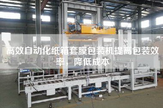 高效自動化紙箱套膜包裝機提高包裝效率，降低成本