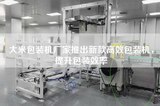 大米包裝機廠家推出新款高效包裝機，提升包裝效率