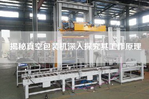 揭秘真空包裝機深入探究其工作原理