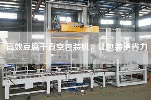 高效豆腐干真空包裝機，讓包裝更省力
