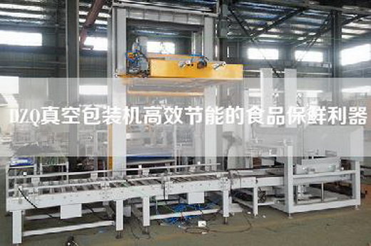 DZQ真空包裝機高效節能的食品保鮮利器