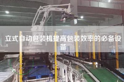 立式自動(dòng)包裝機(jī)提高包裝效率的必備設(shè)備