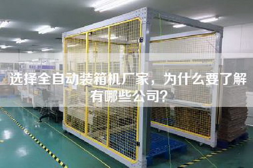 選擇全自動裝箱機廠家，為什么要了解有哪些公司？