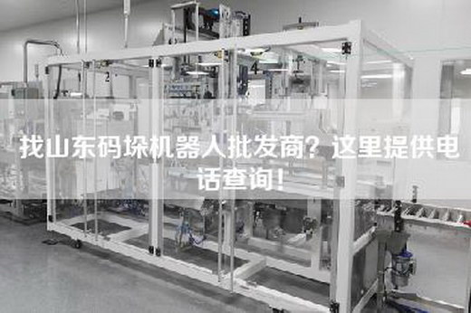 找山東碼垛機器人批發商？這里提供電話查詢！