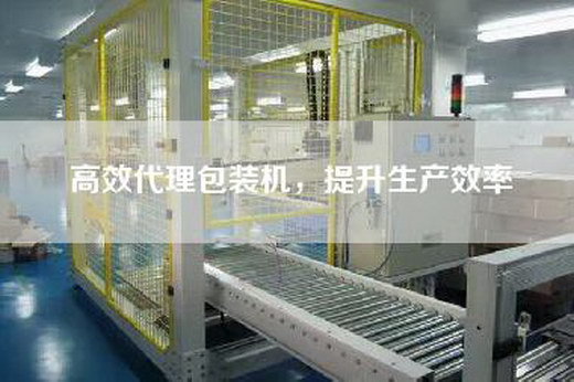 高效代理包裝機，提升生產效率