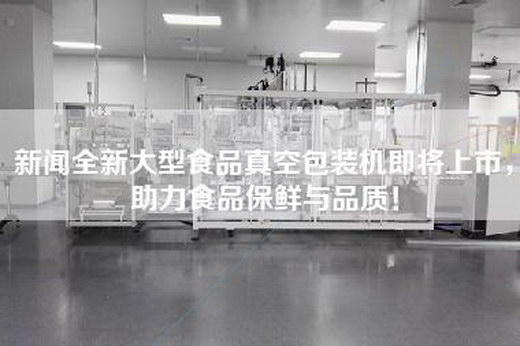 新聞全新大型食品真空包裝機即將上市，助力食品保鮮與品質！
