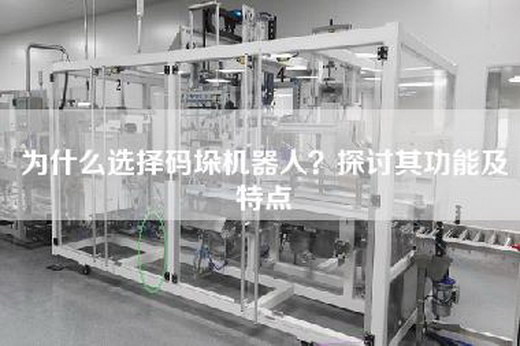 為什么選擇碼垛機器人？探討其功能及特點
