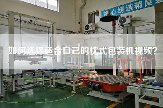 如何選擇適合自己的枕式包裝機視頻？