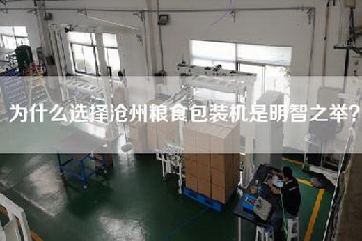 為什么選擇滄州糧食包裝機(jī)是明智之舉？