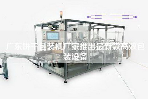 廣東餅干包裝機廠家推出最新款高效包裝設備 廣東餅干包裝機廠家推出最新款高效包裝設備