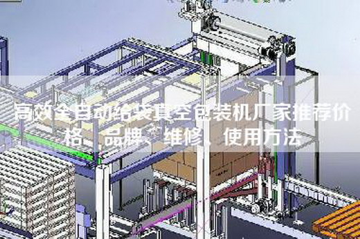 高效全自動給袋真空包裝機廠家推薦價格、品牌、維修、使用方法 高效全自動給袋真空包裝機廠家推薦價格、品牌、維修、使用方法