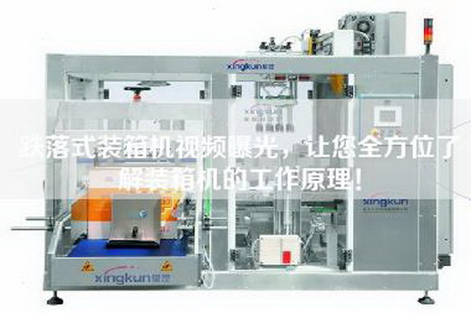 跌落式裝箱機視頻曝光，讓您全方位了解裝箱機的工作原理！