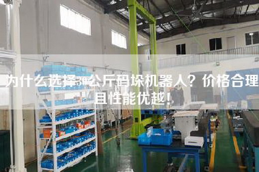 為什么選擇30公斤碼垛機(jī)器人??jī)r(jià)格合理且性能優(yōu)越!