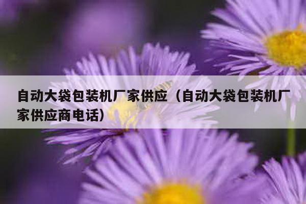 自動大袋包裝機(jī)廠家供應(yīng)(自動大袋包裝機(jī)廠家供應(yīng)商電話)
