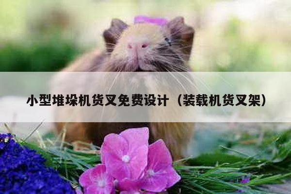 小型堆垛機(jī)貨叉免費(fèi)設(shè)計(jì)(裝載機(jī)貨叉架)