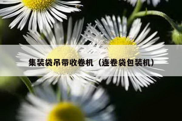 集裝袋吊帶收卷機(連卷袋包裝機)