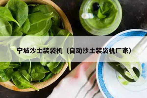 寧城沙土裝袋機(自動沙土裝袋機廠家)