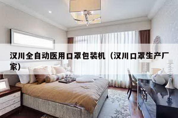 漢川全自動醫(yī)用口罩包裝機(漢川口罩生產(chǎn)廠家)