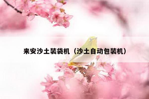 來安沙土裝袋機(沙土自動包裝機)