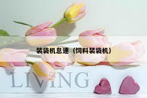 裝袋機怠速(飼料裝袋機)