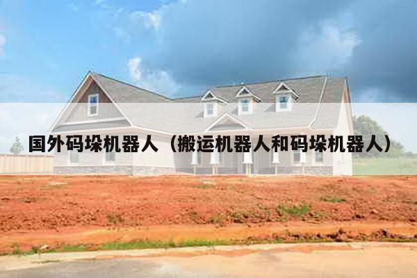 國外碼垛機器人(搬運機器人和碼垛機器人)