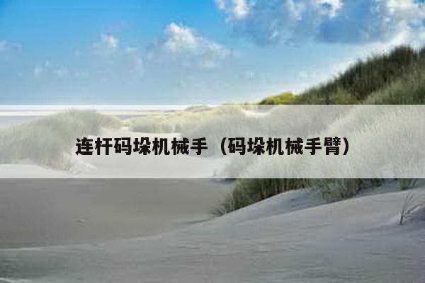 連桿碼垛機(jī)械手(碼垛機(jī)械手臂)