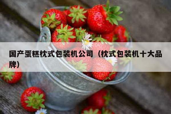 國(guó)產(chǎn)蛋糕枕式包裝機(jī)公司(枕式包裝機(jī)十大品牌)