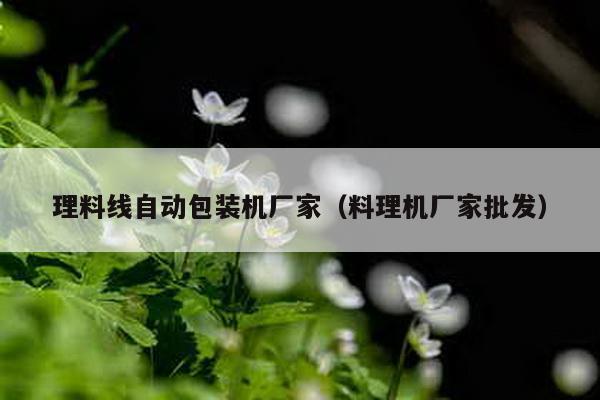 理料線自動包裝機廠家(料理機廠家批發)